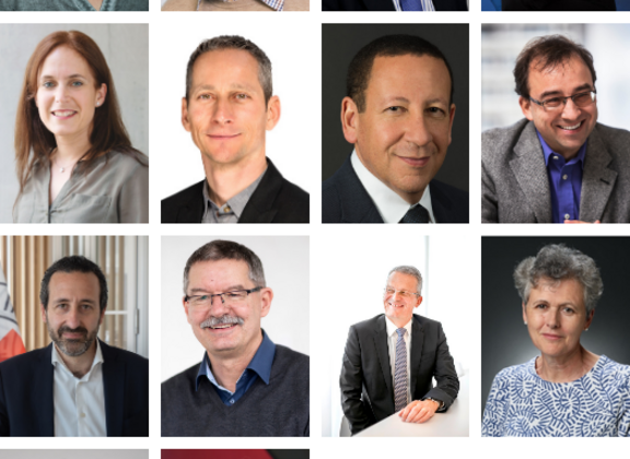 Newly elected individual members 2021