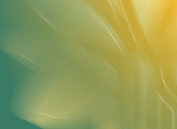 [Translate to English:] 