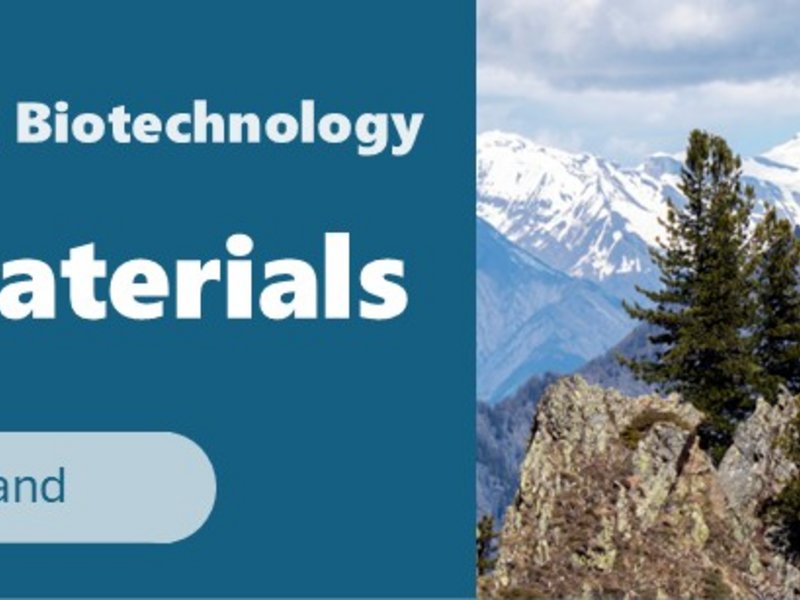 Biobased Materials: From Synthesis to Application