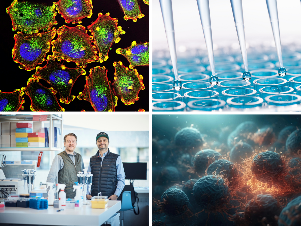 Mosaikbild Bildern zu Fluoreszierenden Zellen und dem Mikroskop, Pipetten über einer Reihe von Reagtenzläsern, zwei Forscher im Labor und Nahaufnahme von Zellen in einer 3D Darstellung